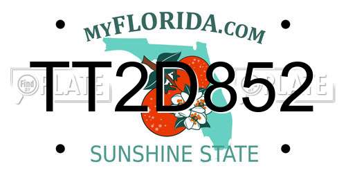 TT2D852 Florida License Plate
