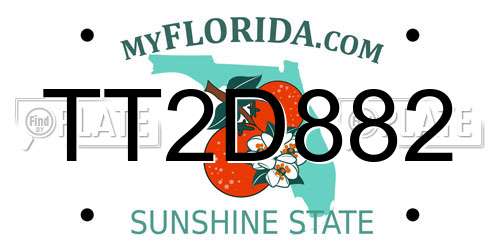 TT2D882 Florida License Plate
