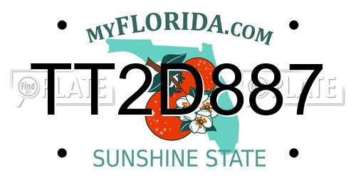 TT2D887 Florida License Plate