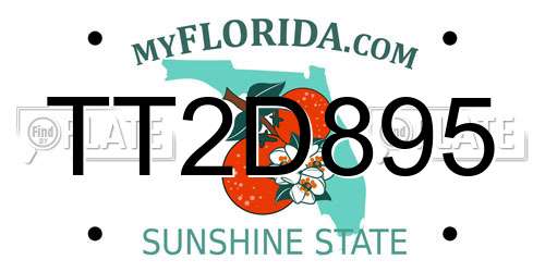 TT2D895 Florida License Plate