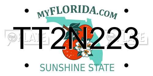 TT2N223 Florida License Plate
