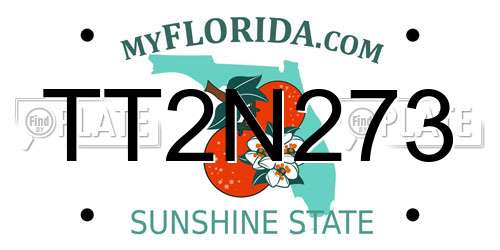 TT2N273 Florida License Plate