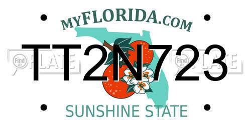 TT2N723 Florida License Plate