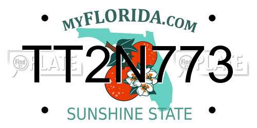 TT2N773 Florida License Plate