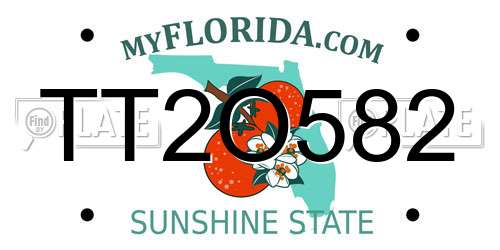 TT2O582 Florida License Plate