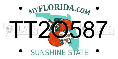 TT2O587 Florida License Plate