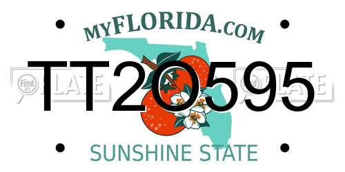 TT2O595 Florida License Plate