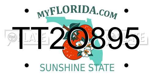 TT2O895 Florida License Plate
