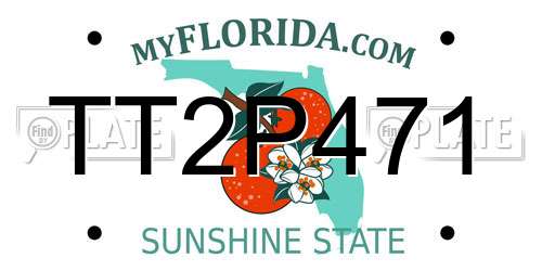 TT2P471 Florida License Plate
