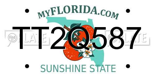 TT2Q587 Florida License Plate