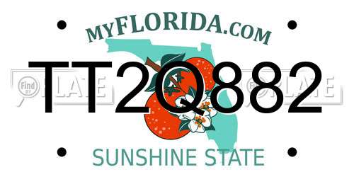 TT2Q882 Florida License Plate