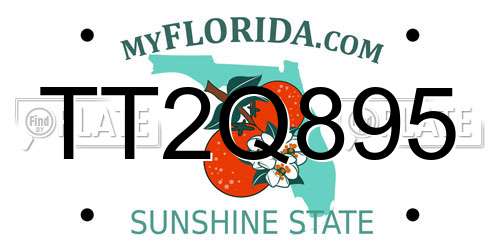 TT2Q895 Florida License Plate