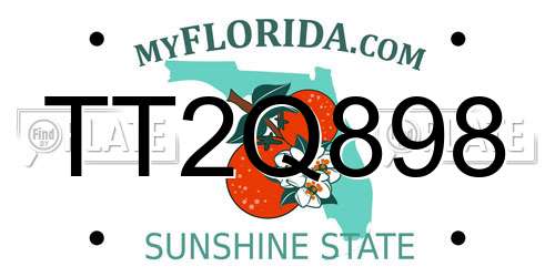 TT2Q898 Florida License Plate