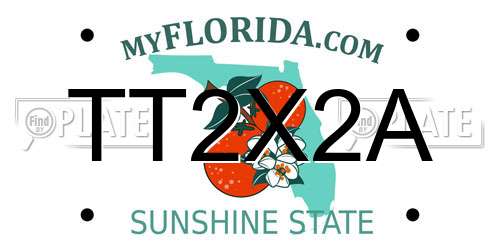 TT2X2A Florida License Plate