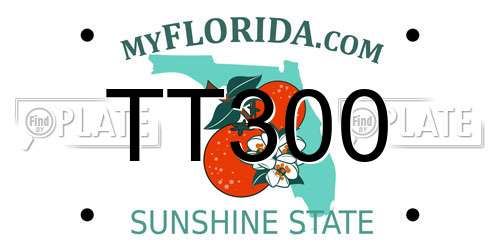 TT300 Florida License Plate