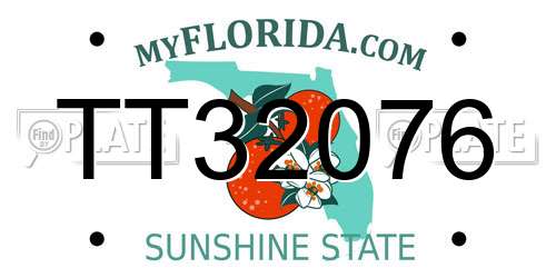 TT32076 Florida License Plate