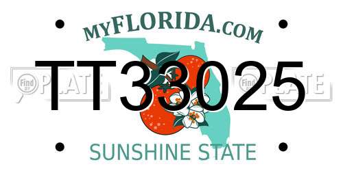 TT33025 Florida License Plate