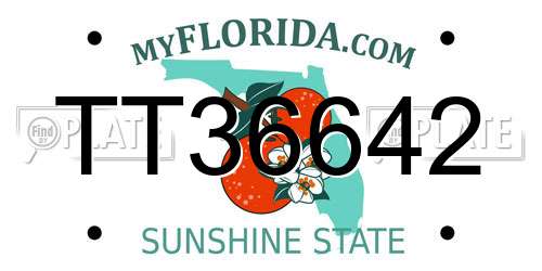 TT36642 Florida License Plate