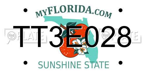 TT3E028 Florida License Plate
