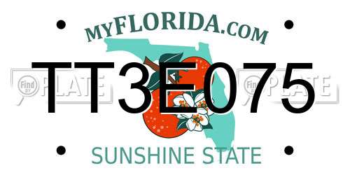 TT3E075 Florida License Plate