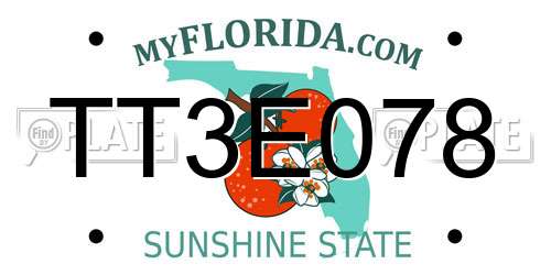 TT3E078 Florida License Plate