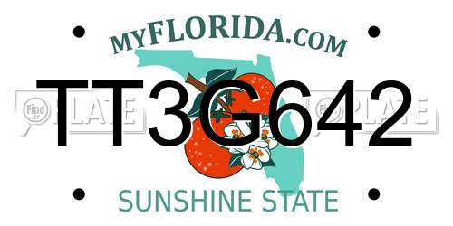 TT3G642 Florida License Plate