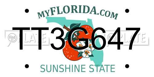 TT3G647 Florida License Plate