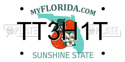 TT3H1T Florida License Plate