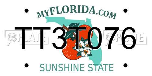 TT3T076 Florida License Plate