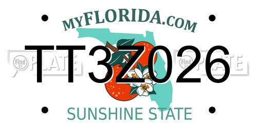 TT3Z026 Florida License Plate