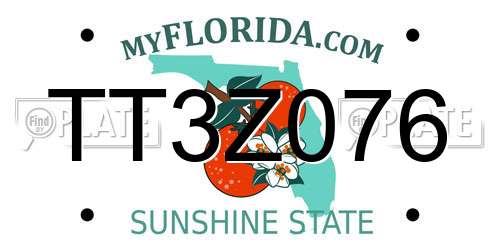 TT3Z076 Florida License Plate