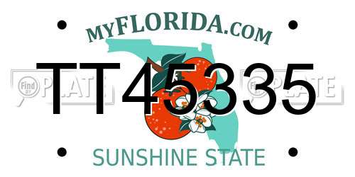TT45335 Florida License Plate