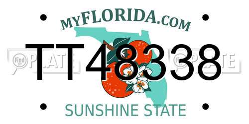 TT48338 Florida License Plate