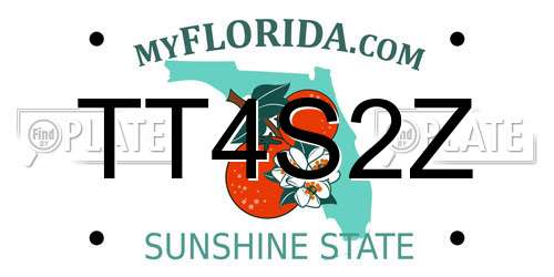 TT4S2Z Florida License Plate
