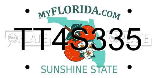TT4S335 Florida License Plate