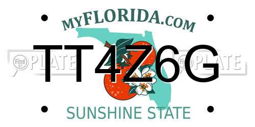 TT4Z6G Florida License Plate