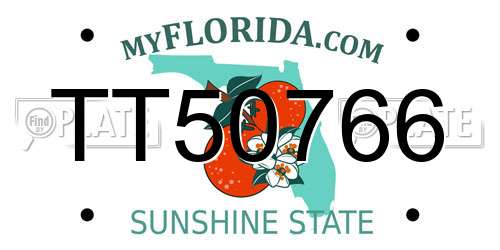 TT50766 Florida License Plate