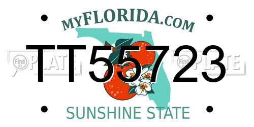 TT55723 Florida License Plate