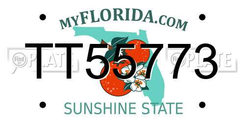 TT55773 Florida License Plate