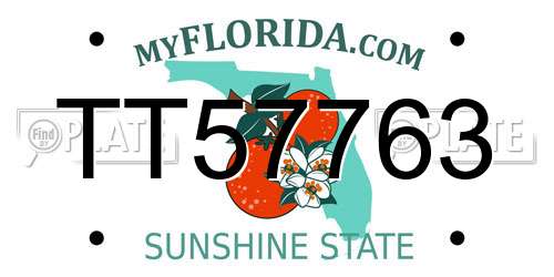 TT57763 Florida License Plate