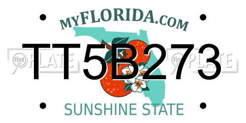 TT5B273 Florida License Plate