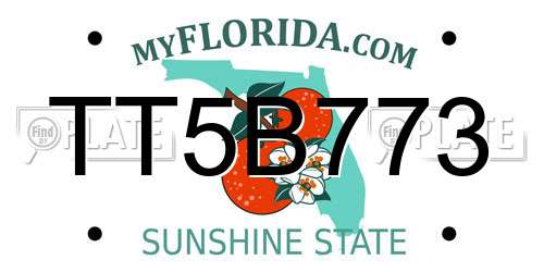 TT5B773 Florida License Plate