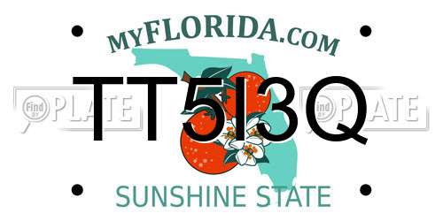 TT5I3Q Florida License Plate