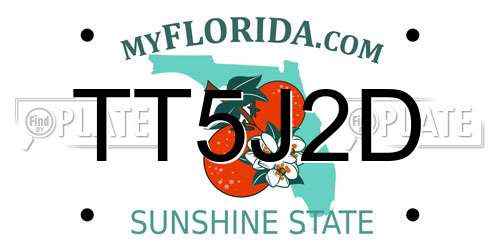 TT5J2D Florida License Plate