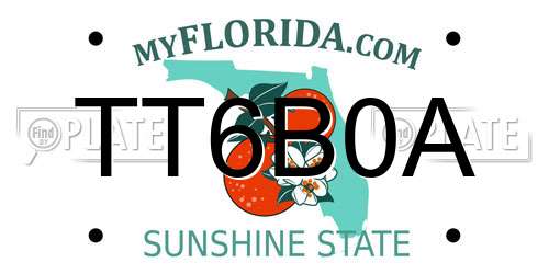 TT6B0A Florida License Plate