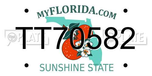 TT70582 Florida License Plate