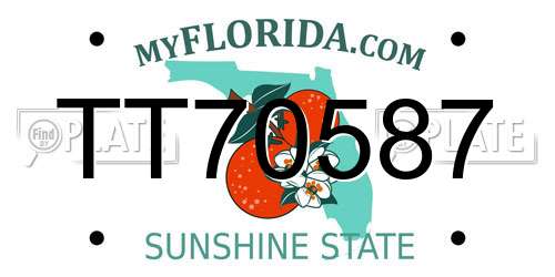 TT70587 Florida License Plate