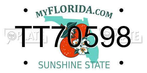 TT70598 Florida License Plate