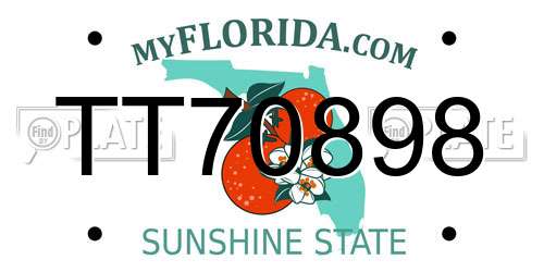 TT70898 Florida License Plate
