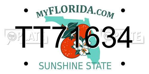 TT71634 Florida License Plate